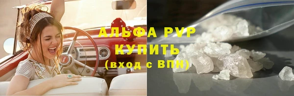 спиды Богородицк