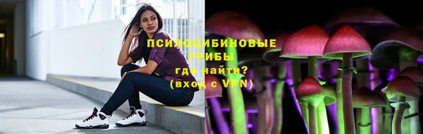спиды Богородицк