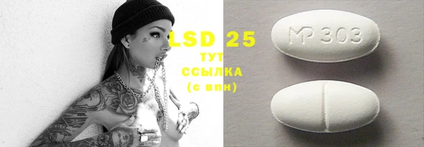 спиды Богородицк