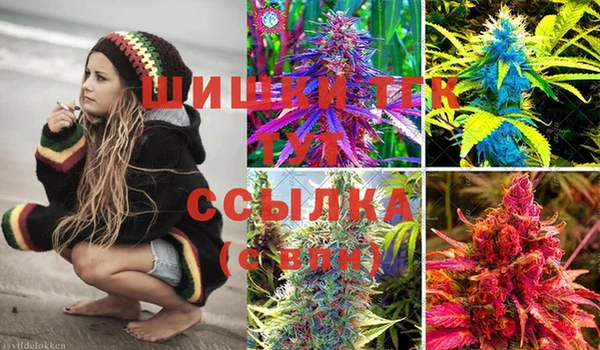 стафф Богданович