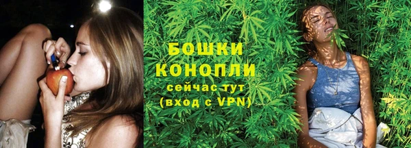 стафф Богданович