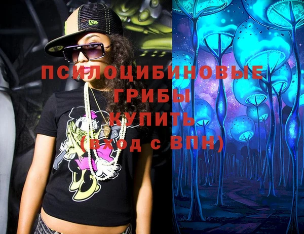 стафф Богданович