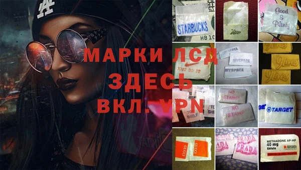 спиды Богородицк