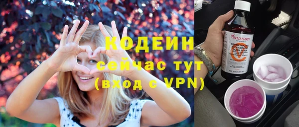 спиды Богородицк