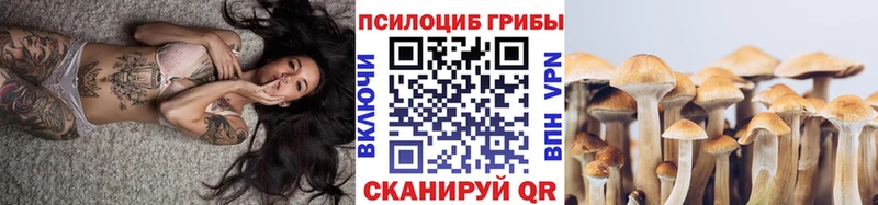 blacksprut   Котово  Псилоцибиновые грибы ЛСД  купить  сайты 